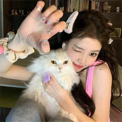 骑士龙战队龙装者